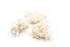 3 piece little wonders coral sampler
